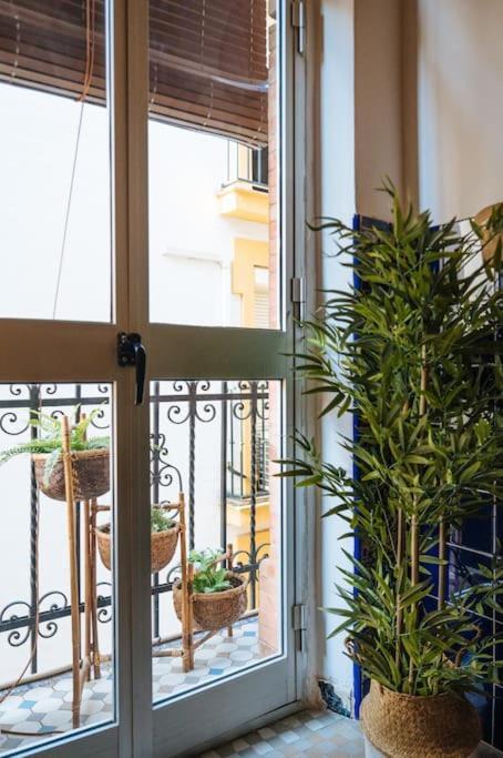 Appartement Andalusian Flavour In Heart Of * 4'giralda